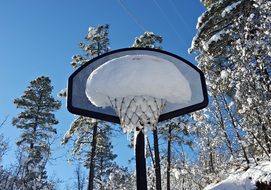 basketball net in the snow