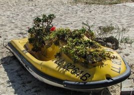 potted flowers on a jet ski on the beach in Ayia Napa, Cyprus