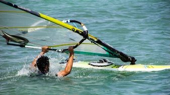 windsurfer in the water