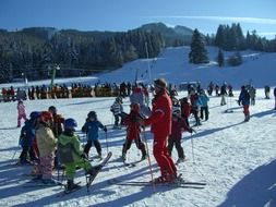 Ski Lessons