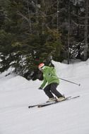 skier in british columbia in winter