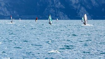 panoramic view of windsurfing competitions