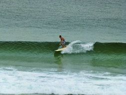 Surfer on the wave in the water