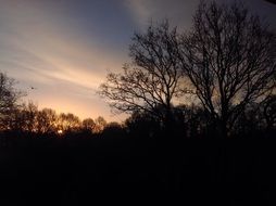 Landscape of Morgenstimmung on a sky