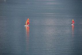 Surfers on a water