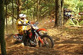 motocross on the track among the forest