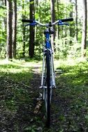 blue road bike among the plants in the forest
