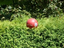 red Ball Football