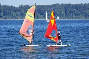 windsurfing as a water sport