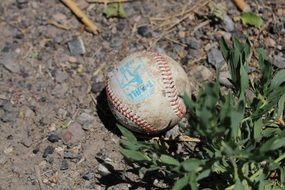 Baseball athletic Ball