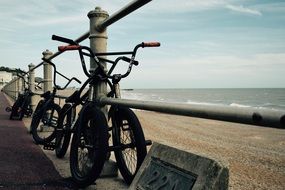 Bmx Bikes