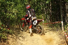 motocross in thickets of forest