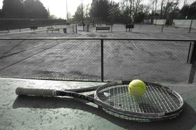 tennis ball on the racket
