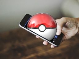 Pokemon Go smartphone application