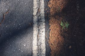 road with white dividing strip close up