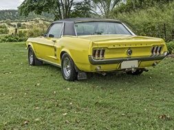vintage yellow mustang on the lawn