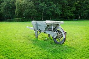 wooden wheelbarrow on a green farm