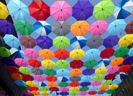 Color Umbrella