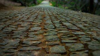 Lane Road dark close-up