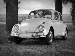 Vw Beetle Oldtimer monochrome