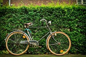 vintage cycle