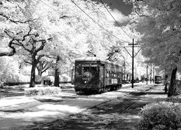 black and white photo of the tram on the Avenue St. Charles in America