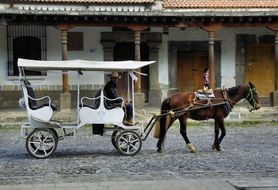 man rides in vintage horse drawn cart on street, Mexico, Puebla