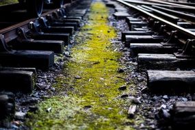 mossy railway