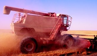 combine harvester during harvesting in the field