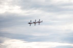 three airplane flying togeter, Canada’s Snowbirds aerobatics team