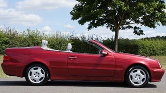 Red Mercedes cabriolet car on the road among the plants