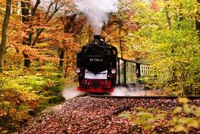 Rasender Roland locomotive on a railway