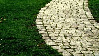 cobblestone path on the green lawn