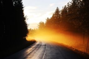 Beautiful landscape with the colorful mist on the road