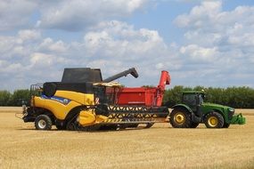 combine harvester on the wheat field