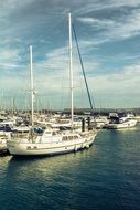 white sailing ships in the port