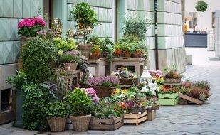 Flower shop