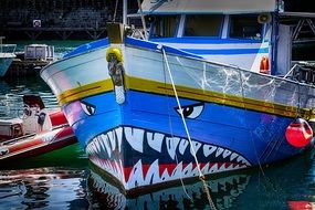 picture of the shark is painted on a boat