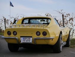 Corvette C3