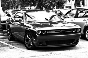 Muscle Car