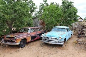 Broken vintage cars near green trees