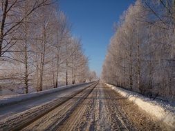 Beautiful landscape with the sunny road in winter