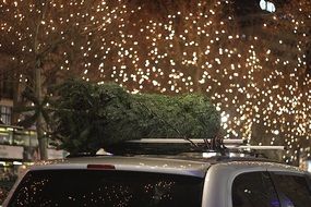 Christmas tree on the car and lights