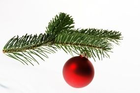 Ball on a Christmas tree branch