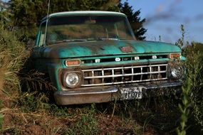 abandoned ford truck in green grass