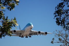 Plane Landing