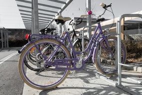 purple Bike Parking