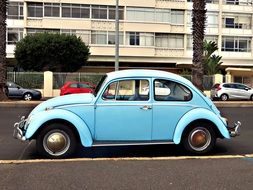 Vw Beetle Vintage