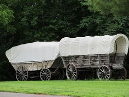 White canvas covered wagons in nature