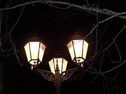 lantern evening light